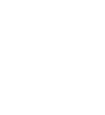 RESHET INVESTIGATION